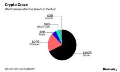 Plus Token 钱包的风险分析与