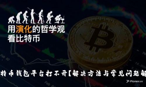 比特币钱包平台打不开？解决方法与常见问题解析